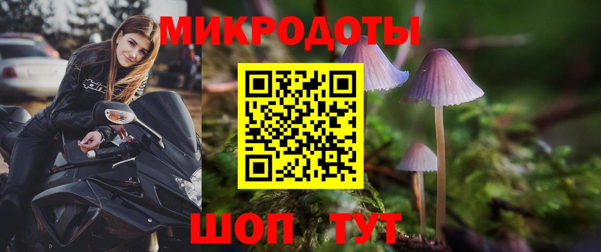 купить закладку  Вход с VPN  Красный Сулин  Галлюциногенные грибы Psilocybe 